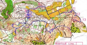 11 St Jaune 14 juin 2015 Violet court trace Jean-Paul H